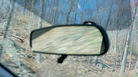 Handheld of Fast Motion Blur of Forest and Trees in Car Rearview Mirror Stock Footage 332680226