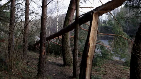 Handheld footage of the aftermath of heavy storms during winter Stock Footage 170846311
