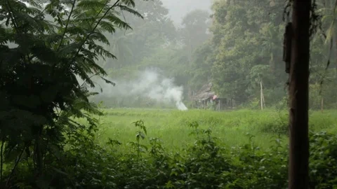 Handheld footage of a small campfire extinguished by a tropical rain storm Stock Footage 98528998