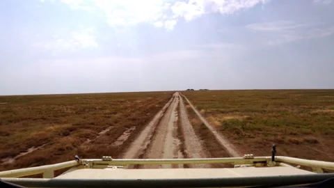 Handheld forward-facing view from a safari vehicle roof opening captures the Stock Footage 330881767