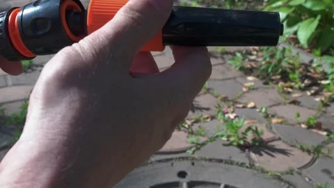 A Handheld Gardening Tool designed for effective Lawn Care and Weed removal in Stock-Footage 310848375