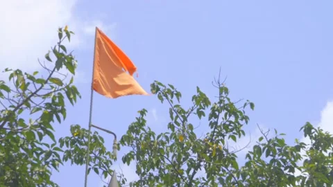 Handheld Hindu flag om orange Maharashtra India Marathi Video stock 138451409