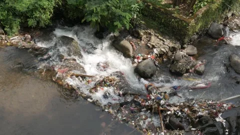 Handheld horizontal view of a river heavily polluted with plastic waste. Stock Footage 336313680