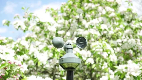 Handheld Induction Anemometer Against the Background of Blossoming Apple Tre. Stock Footage 241420731