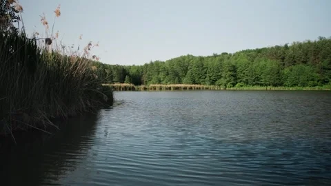 Handheld landscape view across a small lake Stock Footage 318551256