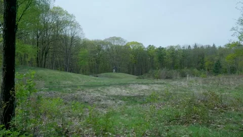Handheld lateral dolly shot of a wild forest landscape in spring 스톡 동영상 336594637