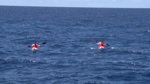 Handheld mid shot of two men kayaking Stock Footage 310539744
