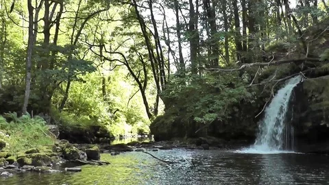 Handheld mid shot of waterfall spilling into woodland pool Video stock 92576441