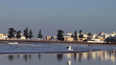 Handheld pan of the beachfront and port in Essaouira, Morocco Stock Footage 47806678