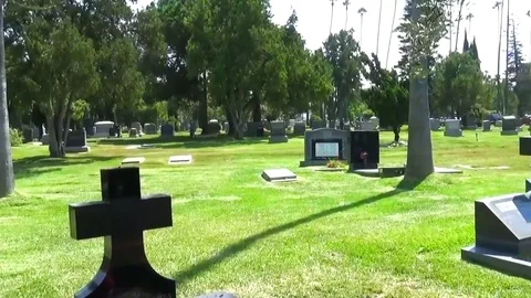 Handheld Pan of Cemetery Stock Footage 78729781