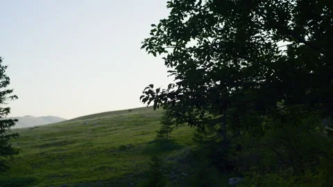 Handheld Pan of Mountain Tree Branch with Leaves and Sunset Valley Background Stock Footage 315824356