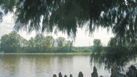 Handheld Park SlowMo Stock Footage 93713441