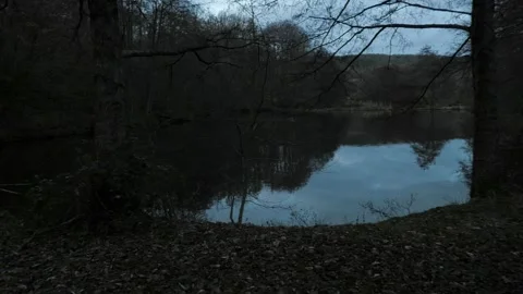 Handheld, point of view walking up forest hill near pond, sunset, winter Stock Footage 262247913