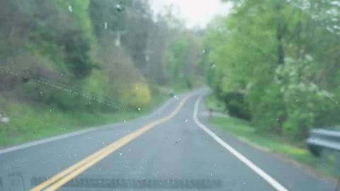 Handheld POV Driving Through Green Forest On Winding Rainy Road 動画素材 333485905