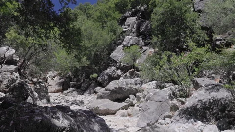Handheld POV walk through dry rocky Kritsa Canyon Stockbeeldmateriaal 334666198