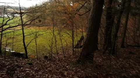 Handheld, POV: Walking downhill through forest to bench on field near village Stock Footage 257049813