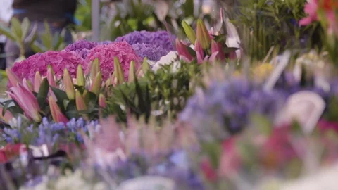 A HANDHELD PULL FOCUS OVER FLOWERS AT COLUMBIA ROAD MARKET IN LONDON Stock Footage 126656074