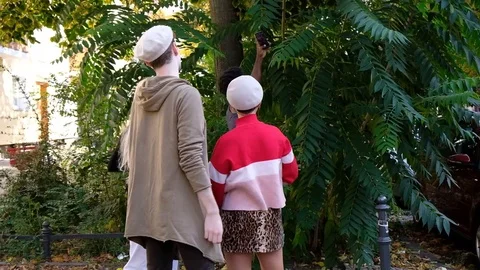 Handheld rear view of friends talking Selfie on mobile while standing by plants Video stock 120425756
