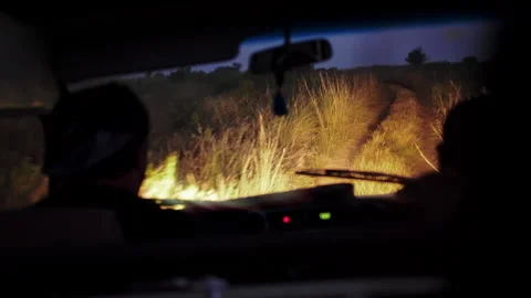 Handheld rear view of two men in a safari-style vehicle driving fast down dirt Stock Footage 331213437
