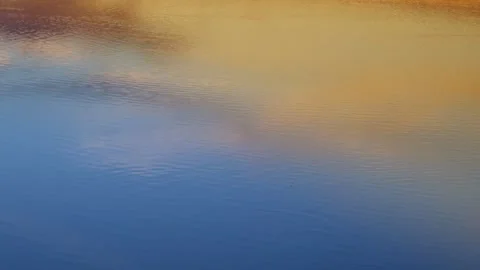 Handheld Reflections After Sunset Gentle Ripples and Fading Coastal Glow Stock Footage 312920824