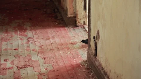 Handheld shot and low angle view of man walking on damaged red carpet 스톡 동영상 114841855