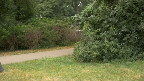 Handheld shot of athletic young man jogging in park in slow motion 스톡 동영상 114874194