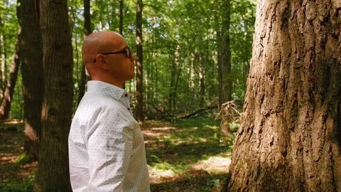 Handheld shot of a bald man touching tree trunk while standing in forest. Green Stock Footage 114131042