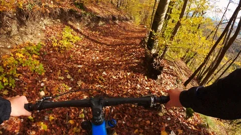 Handheld shot of bicycle handle while person cycling on forest trail Stock Footage 120431034