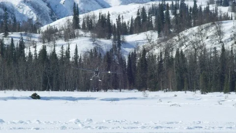 Handheld shot of black plane landing in snowy land with forest in back, Alaska Stock Footage 129127550
