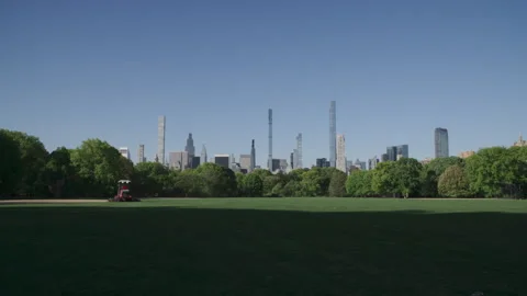 Handheld shot of Central Park on a spring morning Vidéo 335542346
