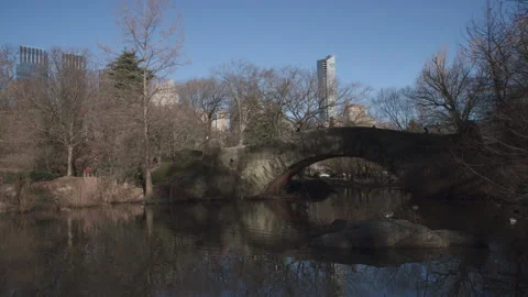 Handheld shot of Central Park's Gapstow Bridge. 動画素材 332730675