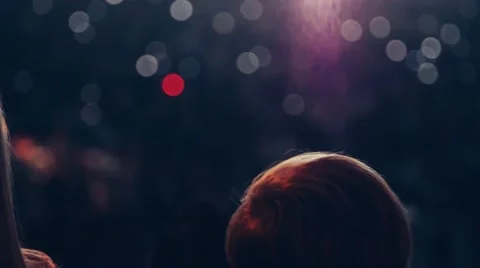 Handheld shot of a crowd making party at a rock concert Stock Footage 52724486