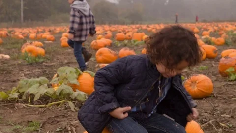 Handheld shot of cute boy sitting on pumpkins Stock Footage