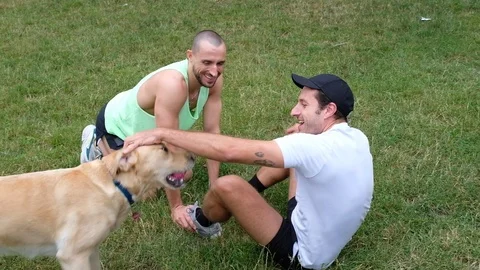 Handheld shot of dog interrupting men doing crunches on grass Stock Footage 120422137