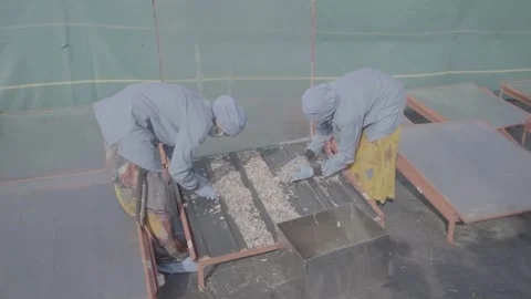 Handheld shot of food processing workers at drying racks Vídeos de archivo 327443579