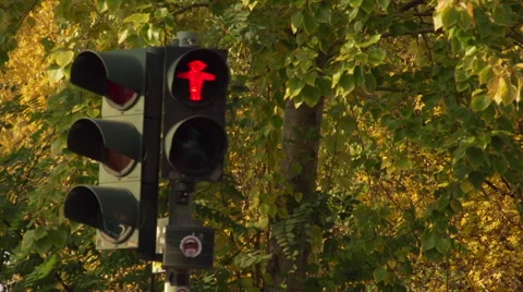 Handheld Shot of German Traffic Light Crossing Red to Green Stock Footage 56739906