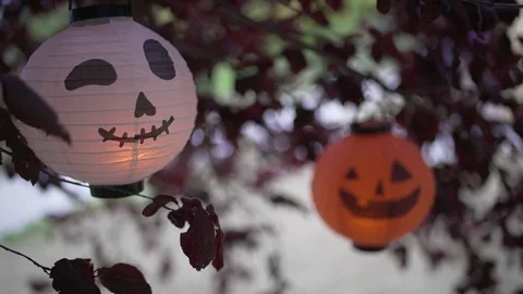Handheld shot of Halloween lanterns hung from a tree. Stock-Footage 80694887
