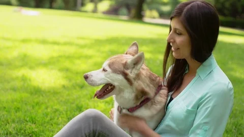 Handheld shot of happy woman petting dog on grassy field at park Stock Footage