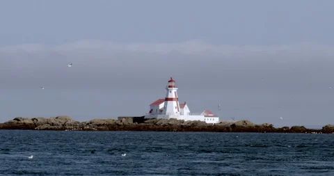 Handheld shot of a lighthouse on the coastline Stock Footage 120698048