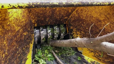 A handheld shot of a machine is a grinding tree. Stock Footage 132346510