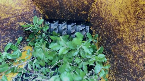 A handheld shot of a machine is a grinding tree and green leaves. 動画素材 132587748