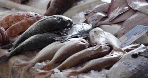 Handheld shot of Mama Celeste standing next to table and showing off fish Stock Footage 158694381