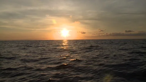 Handheld shot of a man kayaking as the sun is going down Stock Footage 310539896