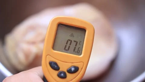 Handheld shot from a man mesuring 7.5 degrees celsius temperature on a chicken b Stock Footage 228822601
