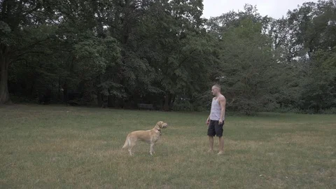 Handheld shot of man playing with his dog 스톡 동영상 114843205