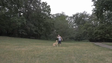 Handheld shot of man playing with his pet dog in park Video stock 114843241