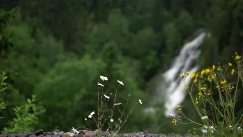 Handheld shot of a man sitting and admiring the waterfall Video stock 114882264