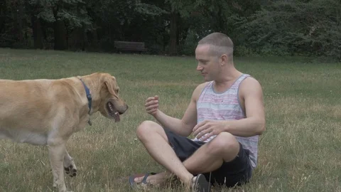 Handheld shot of man talking to his pet dog while playing in park Stock Footage 114843271