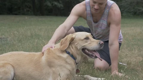 Handheld shot of man talking to his pet dog while playing in park Stock Footage 114843319