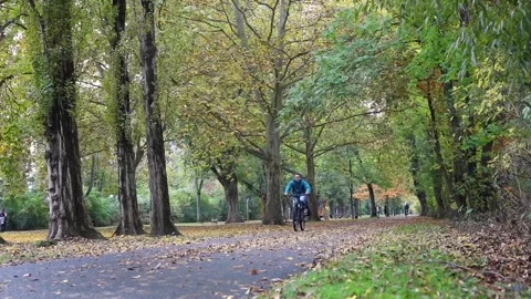 Handheld shot of a man while riding a bike in a park in fall season Stock-Footage 171082987